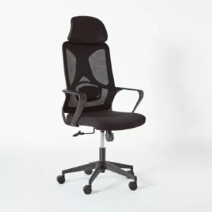 High Back Orthopedic Office Chair – Ergonomic Executive Chair with Adjustable Lumbar Support, Tilt Function & Breathable Mesh