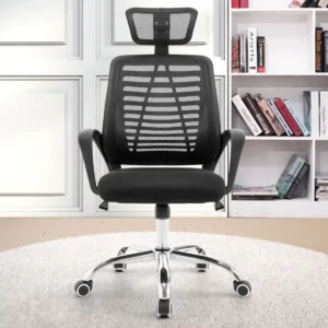 Mesh Ergonomic Office Chair with Adjustable Headrest