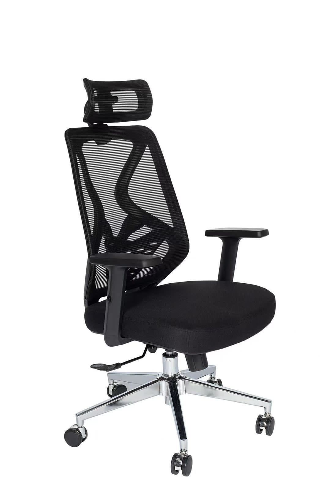 Ergonomic Mesh High-Back Office Chair with Adjustable Headrest & Lumbar Support